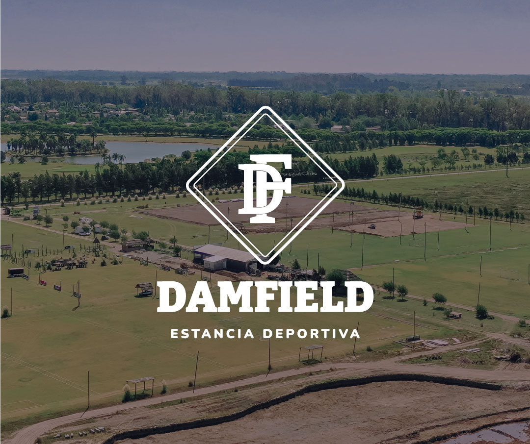 Damfield 